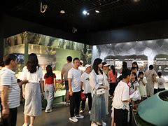 当今女足比赛赛程密集，观众热情高涨的简单介绍